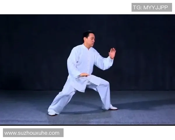 太极拳42式完整视频教学从入门到精通的全方位指导