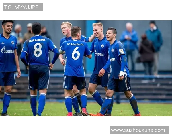 沙尔克04德甲困境：连续失利引发球迷担忧