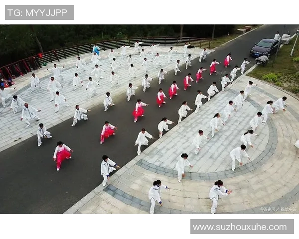 探索太极拳学院的传统与现代融合之道，传承与创新共舞的武术魅力